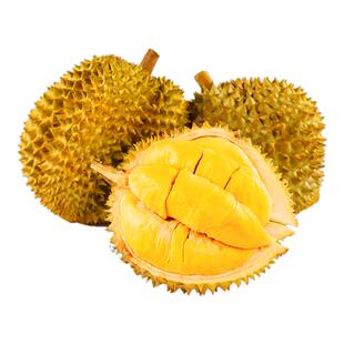 泰国金枕榴莲新鲜水果10斤一整个整箱顺丰包邮当季进口巴掌榴莲肉