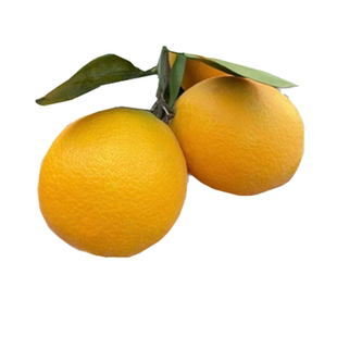 正宗赣南脐橙精品大果20斤江西赣州寻乌橙子新鲜甜水果产地直发10