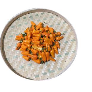 魔鬼辣椒超辣永安黄椒灯笼椒小米泡椒朝天椒正宗变态特辣新鲜农家