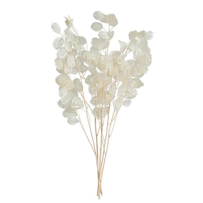 进口天然银扇叶干花花束轻奢高端