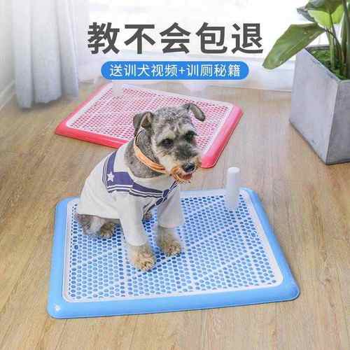 狗厕所宠物狗狗用品特大号大型小型犬金毛便盆尿盆砂盆不湿脚专用