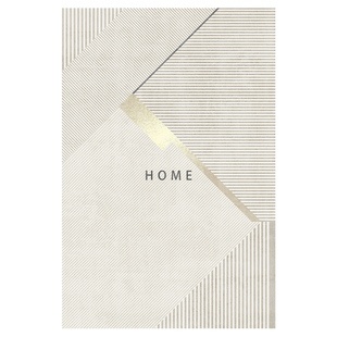 高级感入户门地垫2025新款客厅门口地毯进门玄关脚垫门垫定制简约