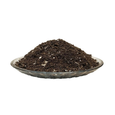非洲堇非洲紫罗兰育苗种植营养土