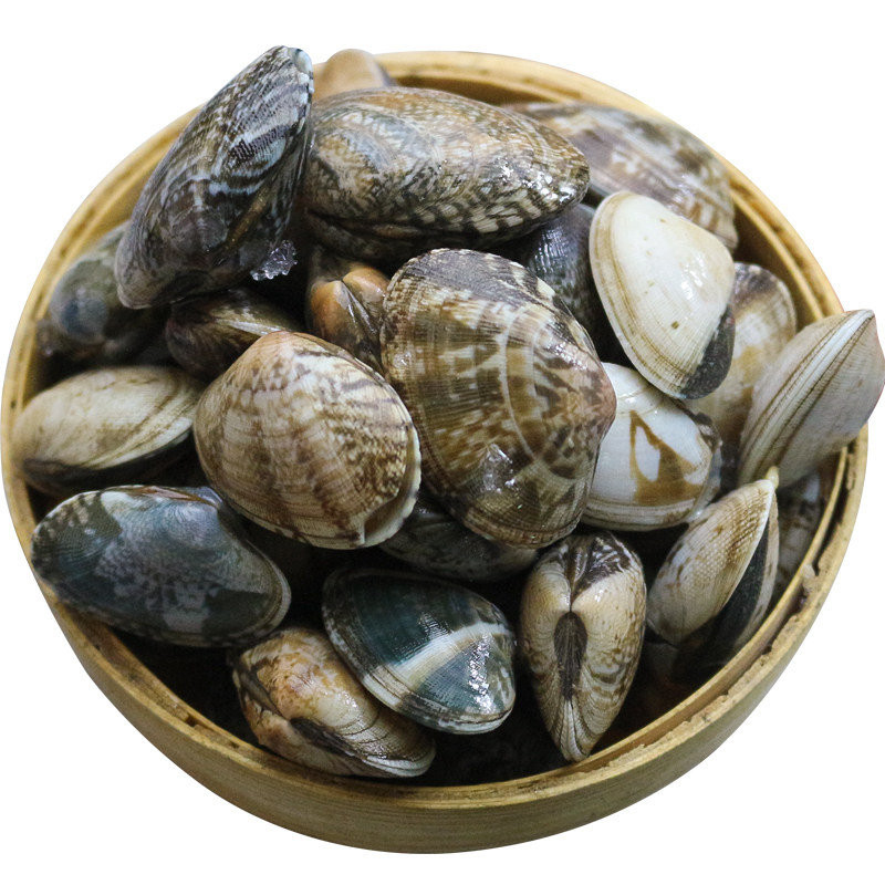 青岛蛤蜊新鲜当天红岛花蛤海鲜花甲文蛤杂色蛤大沙甲花蚬子3斤