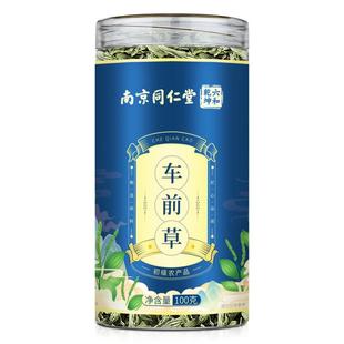 南京同仁堂车前草新鲜干货非车前草泡茶包的功效与作用官方旗舰店