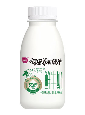 天友家里养头奶牛鲜牛奶