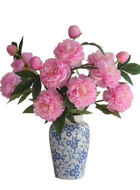 生喜朗牡丹花客厅花草花朵饱满