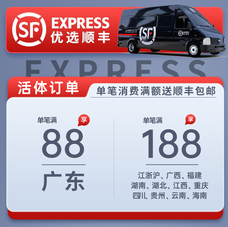 神仙鱼热带鱼观赏鱼活鱼大型燕鱼小型淡水好养秘鲁埃及七彩神仙