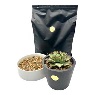 windpot颗粒土块根植物营养土龙舌兰仙人球专用粗细配多肉铺面