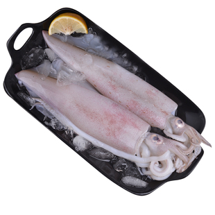 新鲜舟山鱿鱼鲜活冷冻生鲜大鱿鱼小笔管海鲜水产冻货商用批发2斤