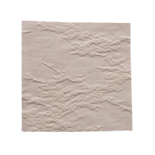 事儿 梅仙·重肌理油丝坯布-提花重磅真丝面料 设计师布料