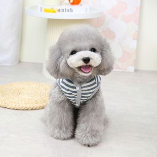 2022霸王龙棉背心面布衣服厚实棉绒服饰保暖狗狗宠物丝牛奶舒