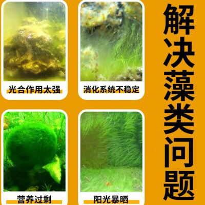 鱼缸除藻剂去苔剂青苔清除剂杀菌去除绿水灭褐藻绿藻黑毛藻不伤鱼