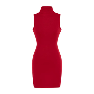 怪力酱 高领无袖背心连衣裙女早春紧身收腰性感小妈感短款包臀裙