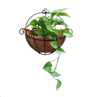 椰棕壁挂花盆半圆形透气挂墙椰壳铁艺花架百搭阳台装饰绿萝壁挂