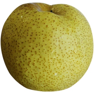 酥梨新鲜 水果梨子 净重10斤整箱冰糖雪梨砀山梨黄冠整箱烤梨包邮