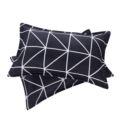 一对装枕套水洗棉单人卡通枕芯套