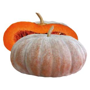 圣凯华农磨盘大南瓜种子 特甜超面 蔬菜种子瓜大高产味甜面中晚熟