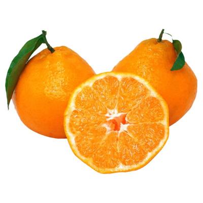 正宗四川春见耙耙柑新鲜水果现摘粑粑柑杷杷柑薄皮桔子整箱特大果