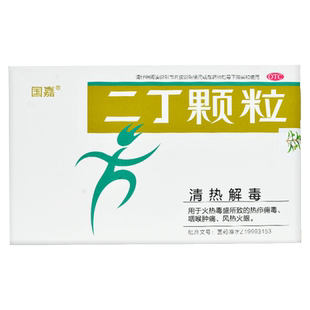 国嘉二丁颗粒4g*9袋咽喉肿痛热疥痈毒风热火眼二丁粿粒