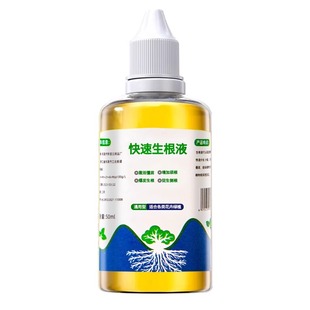 快速生根液植物通用扦插月季多肉富贵竹蝴蝶兰水培移栽专用强力