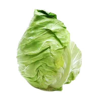 牛心甘蓝种子包菜菜种籽包心菜籽