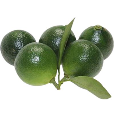 新鲜海南小金桔奶茶店专用小青柠