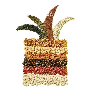 yee和尚鹦鹉专用粮带壳中小型鸟粮小太阳凯克月轮滋养丸饲料鸟食