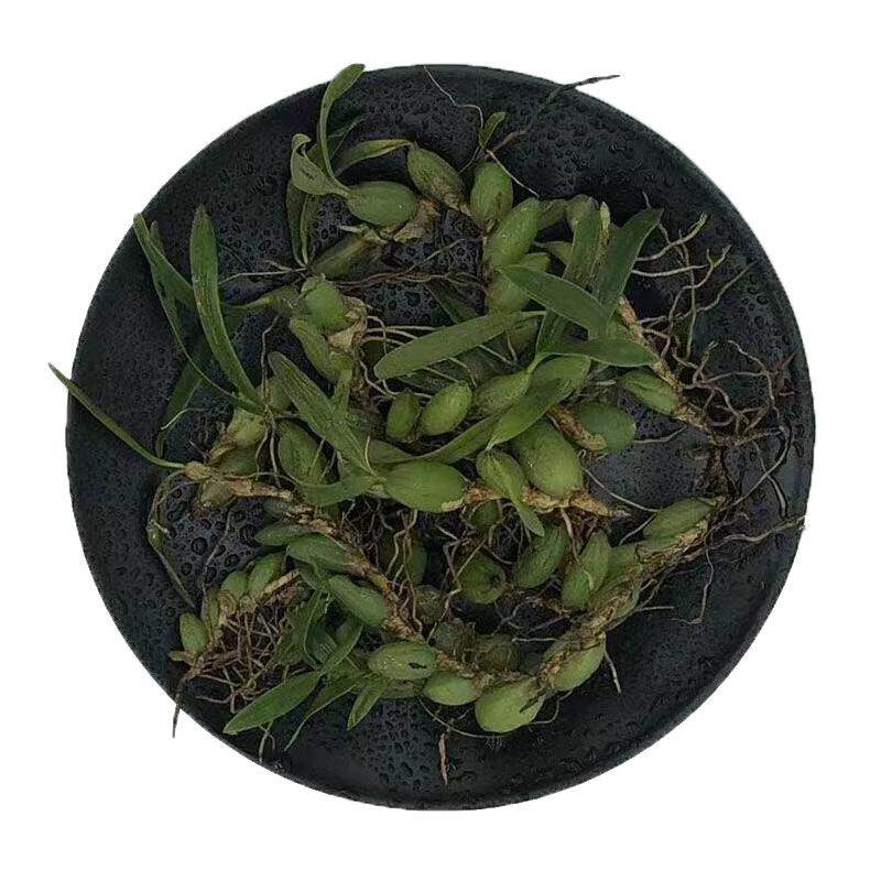 石橄榄新鲜广西双叶仙桃炖汤补品