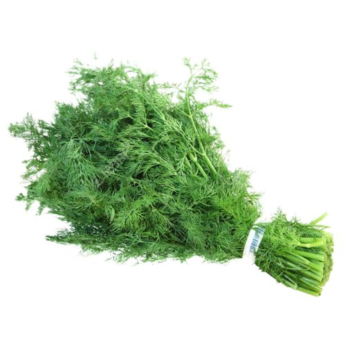 茴香种子种籽苗孑小茴香菜阳台带根四季菜种盆栽籽种蔬菜菜籽回香