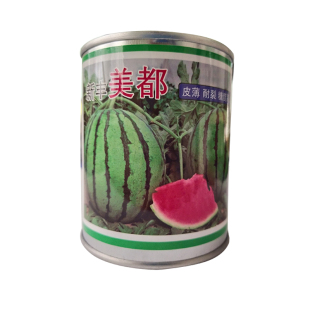 新丰美都西瓜种子改良8424麒麟王皮薄含糖量高早熟抗裂圆形大西瓜