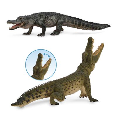 collecta我你他尼罗美国野生动物