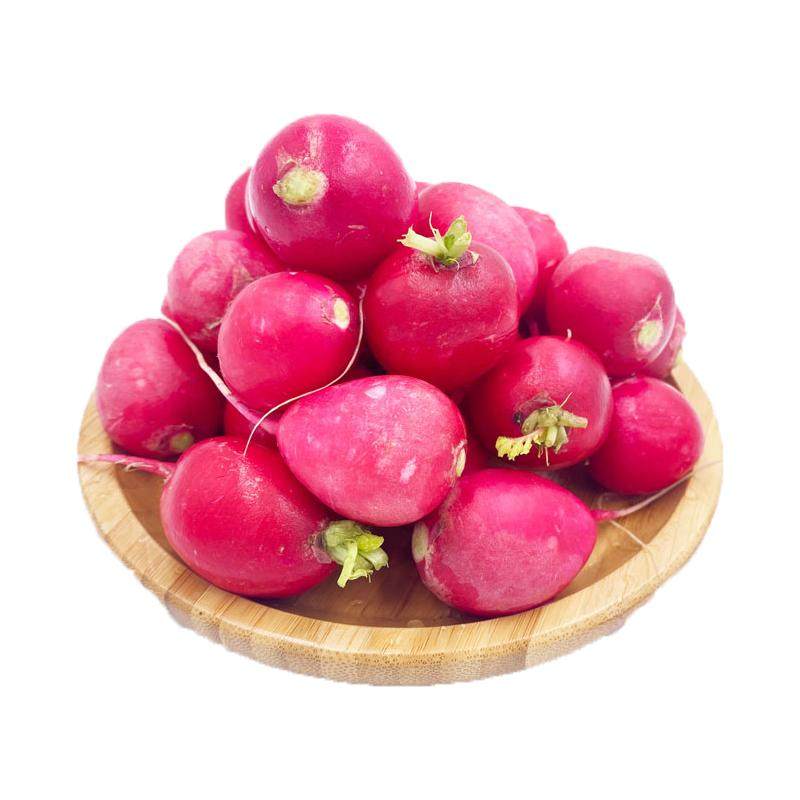 【槿馐】樱桃萝卜5斤 迷你小红萝卜 菜新鲜蔬菜小圆萝卜顺丰包邮