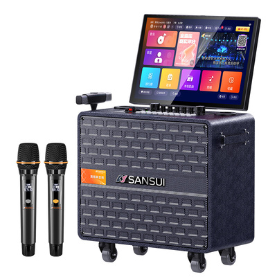 Sansui/山水广场舞音响带显示屏