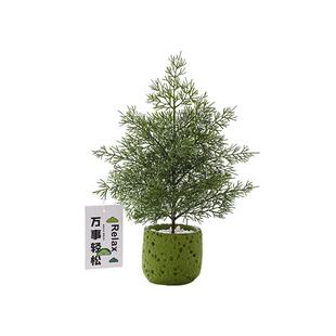 桌面仿真绿植室内办公桌工位植物盆栽造景摆件拍摄道具客厅装饰品