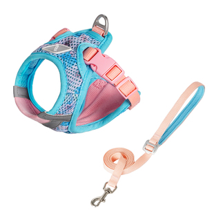 Touchdog它它果冻猫咪牵引绳背心式防挣脱外出专用背带小猫溜猫绳