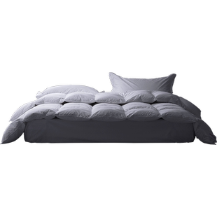 【自营】Snowman/斯诺曼羽绒被95白鹅绒被冬被双人春秋被被子被芯