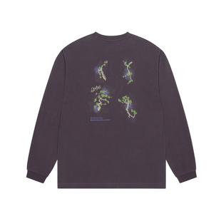 美国ELEMENT滑板长袖T恤男宽松速干抑菌湿显双层印花户外运动上衣