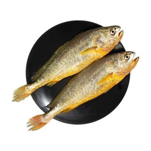 黄鱼新鲜冷冻小黄花野生大号冰鲜活冷冻生鲜深海鱼商用整箱黄鱼鲞