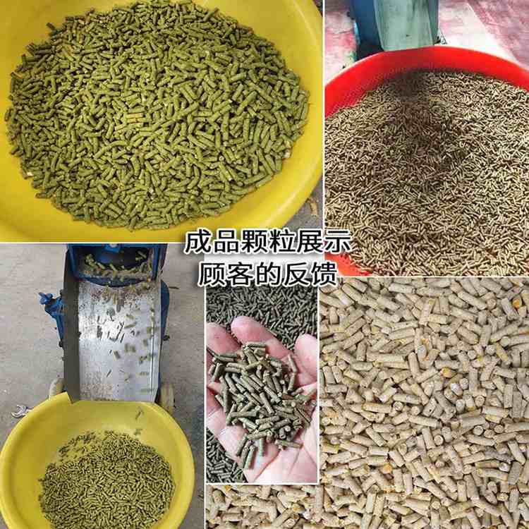 养殖饲料机 家用型颗粒饲料机 鸡鸭鹅羊猪牛饲料机