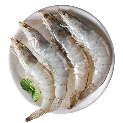 新鲜深海大虾青岛基围速冻