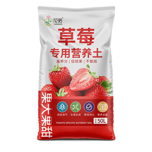 草莓专用土营养土瓜果蔬菜通用土阳台种草莓专用有机腐殖土泥炭土
