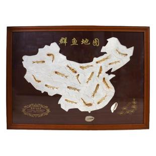 辽西天然古生物化石狼鳍鱼化石原石拼图实木精装裱精装礼品装饰品