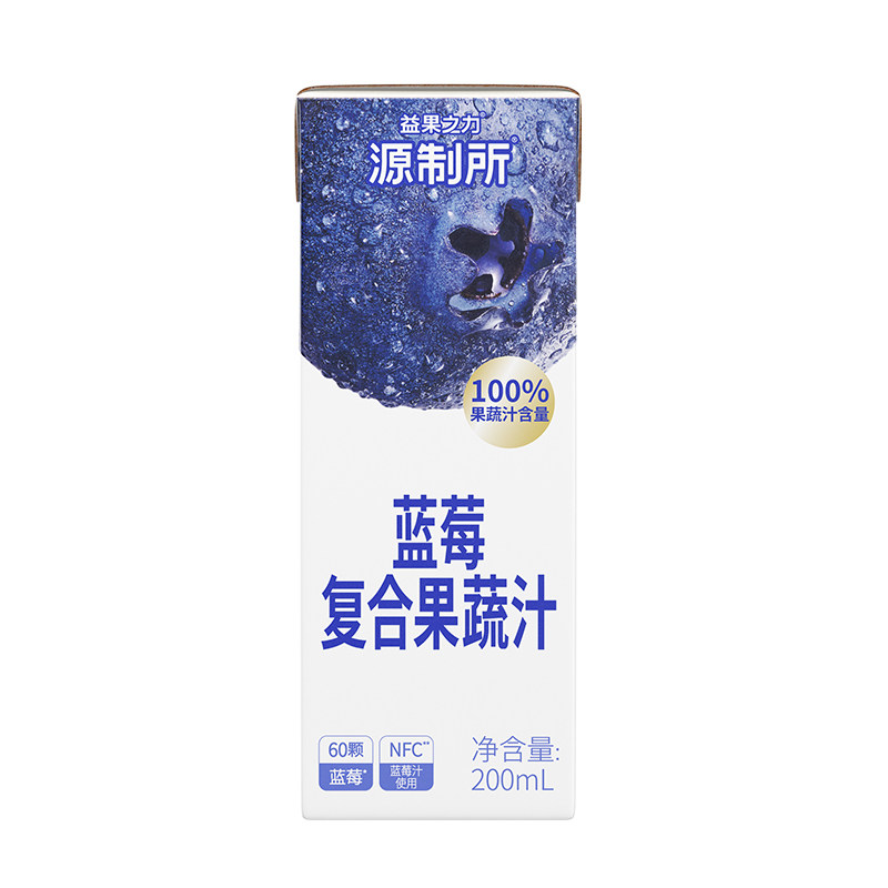 源制所蓝莓汁100%复合果蔬汁果汁饮料整箱 每日喝一瓶含6种果蔬汁