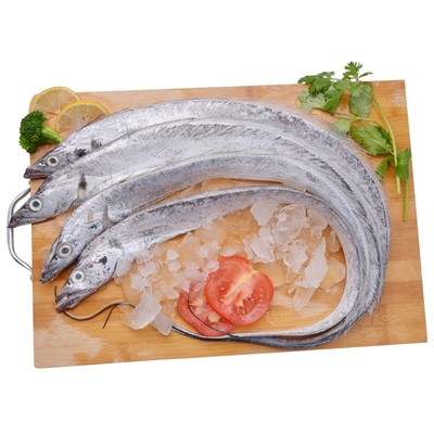 舟山雷达网小眼带鱼4斤7-8条整条