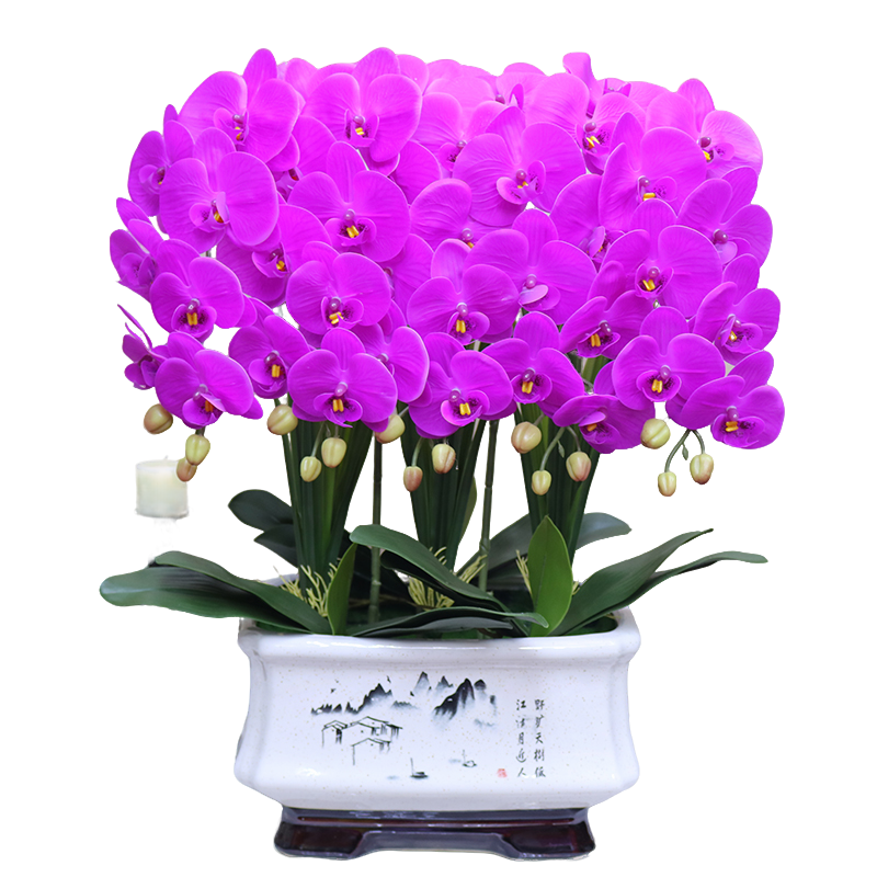 仿真花特大号保湿手感蝴蝶兰客厅茶几装饰乔迁新居花艺电视柜摆设
