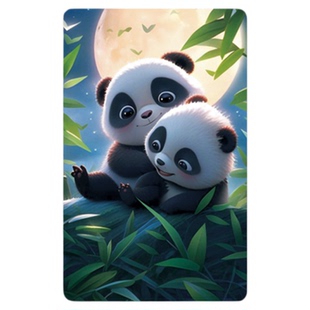 酒店取电卡万能通用高低频复合插卡取电开关感应门卡宾馆房卡磁卡