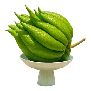 佛手柑鲜果新鲜佛手瓜切带枝室内摆件清供观赏闻香可食用花卉盆栽