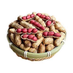 东北铁锅炒花生红皮带壳原味熟25年农家新货现炒现发零食坚果炒货