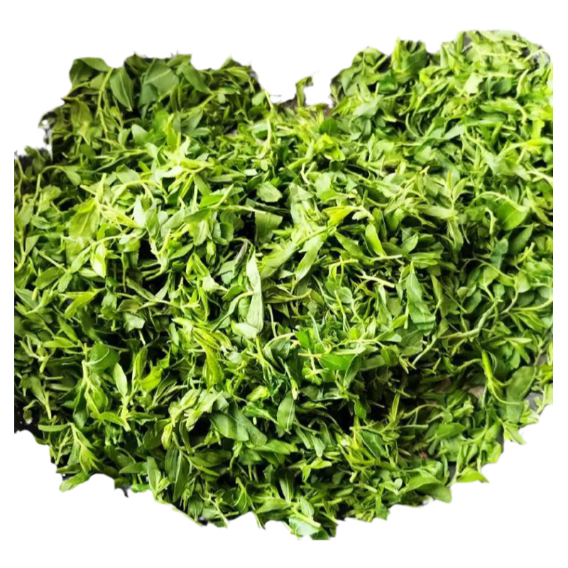 酸枣芽茶野生泰山酸枣叶嫩芽茶泡水睡眠山枣叶炒酸枣仁芽枣牙新茶